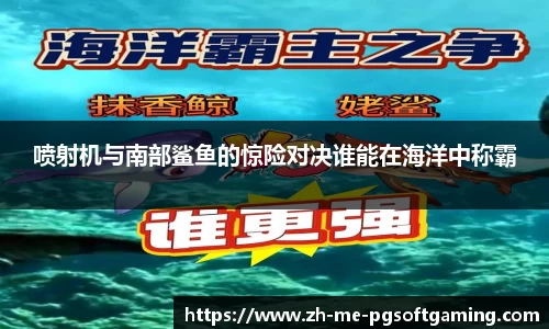 喷射机与南部鲨鱼的惊险对决谁能在海洋中称霸