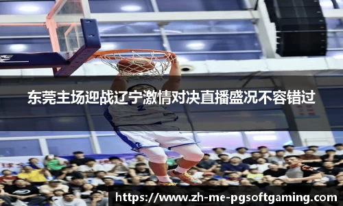 东莞主场迎战辽宁激情对决直播盛况不容错过