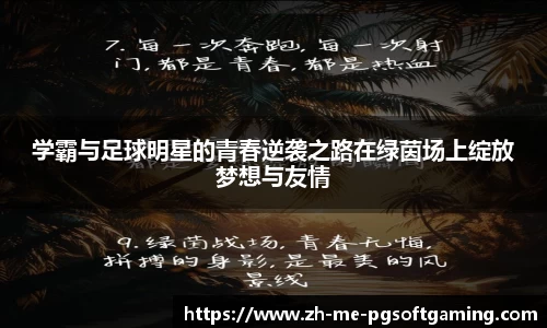 学霸与足球明星的青春逆袭之路在绿茵场上绽放梦想与友情