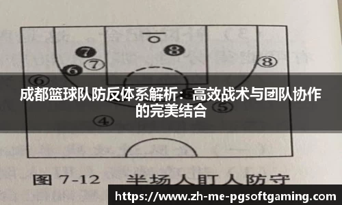 成都篮球队防反体系解析：高效战术与团队协作的完美结合